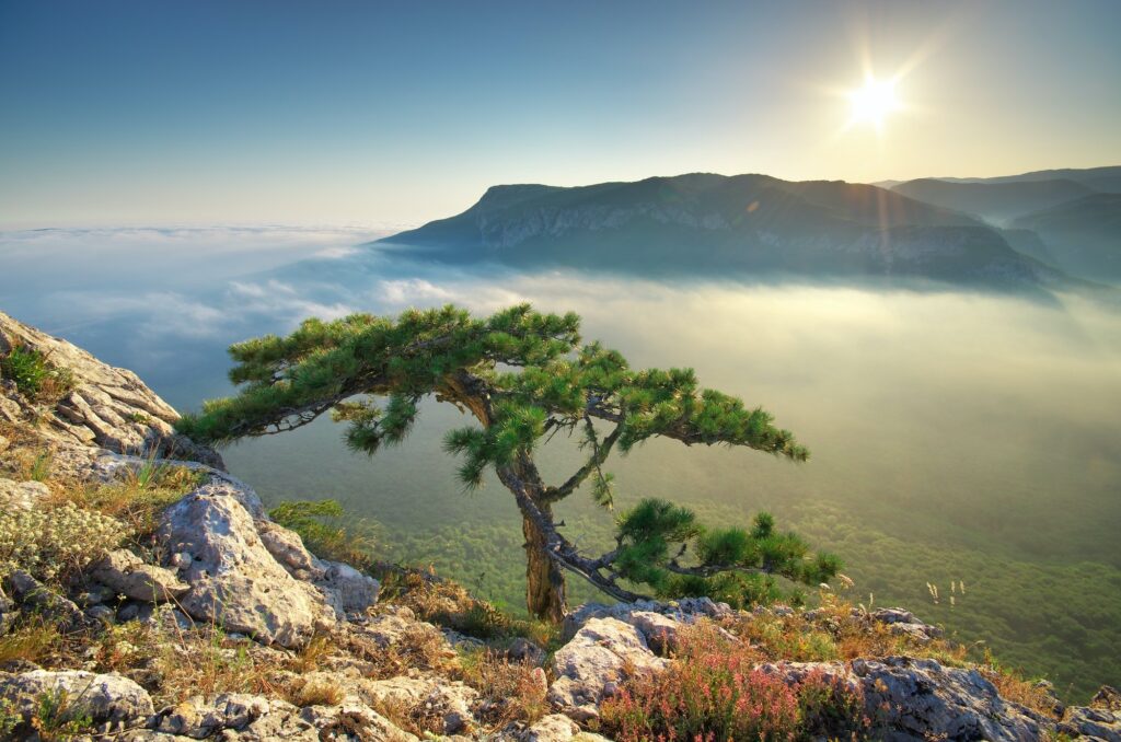 mountain landscape - Název webu